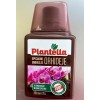 ТОР PLANTELLA ЗА ОРХИДЕИ 