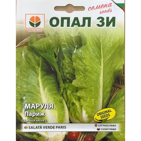 Париж