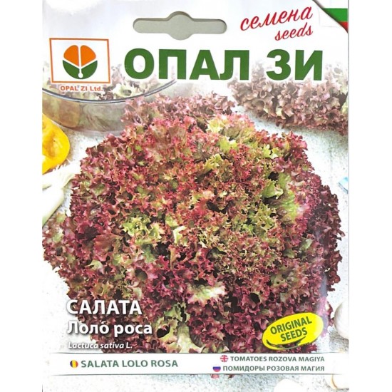 Лоло Роса Лоло Роса