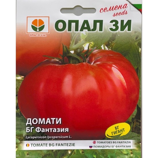 Фантазия Фантазия