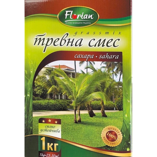 Сахара Сахара
