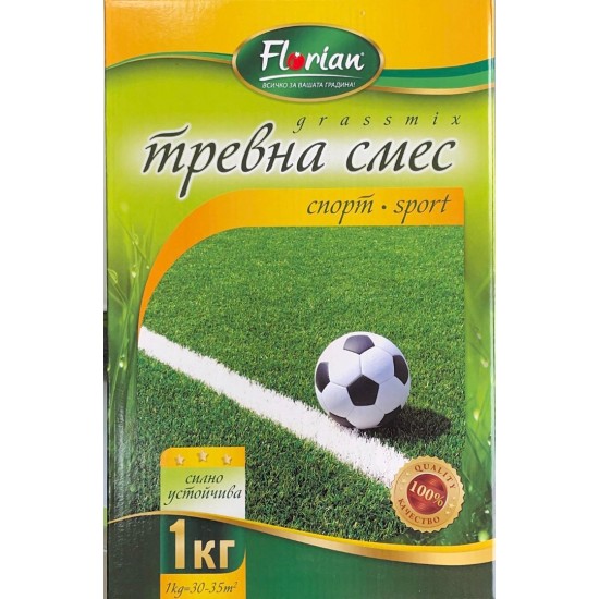 Спорт