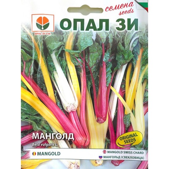 Манголд Манголд