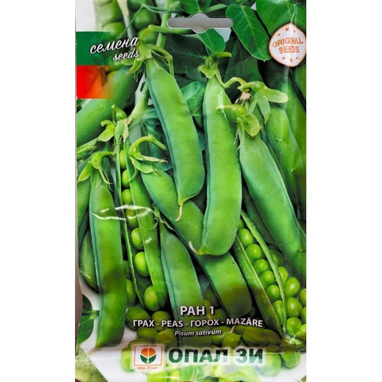 Ран 1