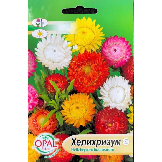 Хелихризум